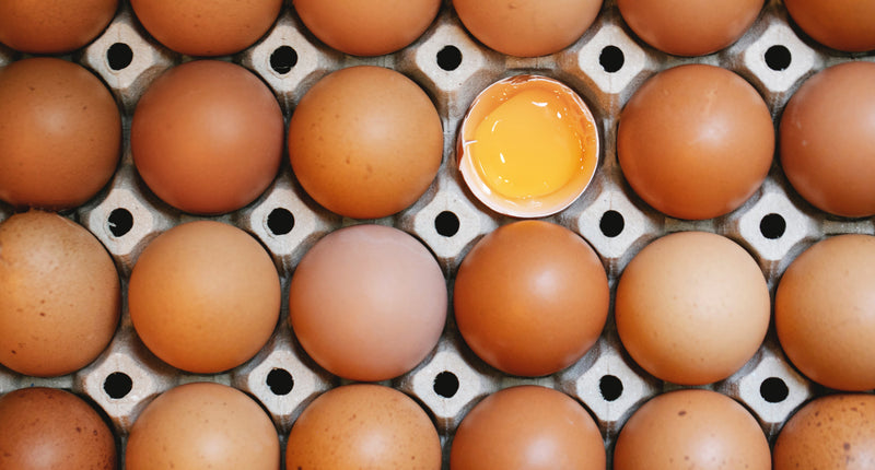PROTEÍNA: TODO LO QUE DEBES SABER
