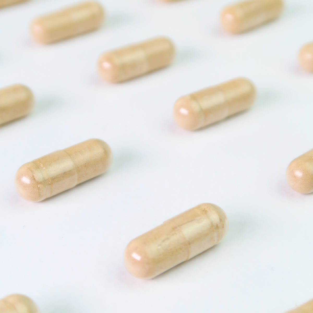 Ashwagandha KSM66 600 mg - 60 Kapseln - von Dr. Antelm Pujol