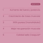 Creapure® Creatine Berry Mix 300g