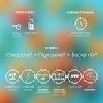 Créatine Creapure® Peach Ice Tea 200g