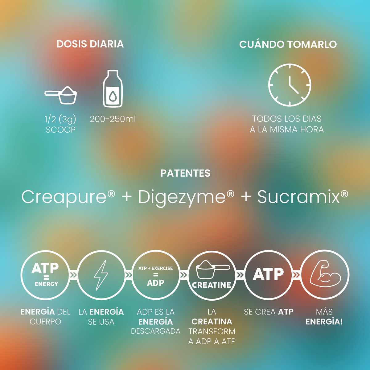 Créatine Creapure® Peach Ice Tea 200g
