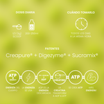 Creapure® Creatine Melon Gum 300g