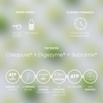 Creatine Creapure® To Go 21 Tabs