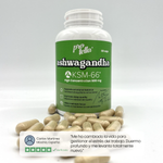 Ashwagandha KSM66 600 mg - 60 Kapseln - von Dr. Antelm Pujol