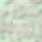 Ashwagandha KSM66 600 mg - 60 Kapseln - von Dr. Antelm Pujol