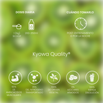 Glutamina Acid Kiwi 300g