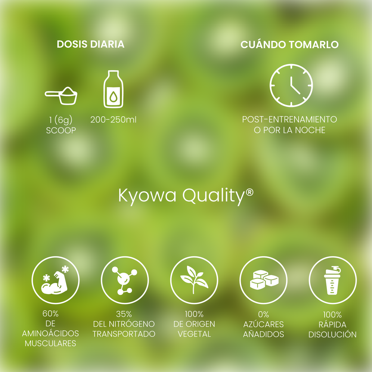 Glutamina Acid Kiwi 300g