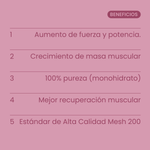 Creatina 200 Mesh Berry Mix 300g